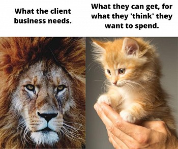 What the client business needs...