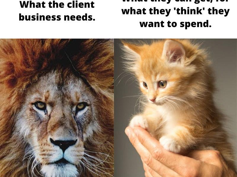 What the client business needs...